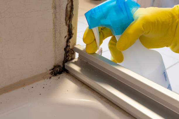 Best Residential Mold Removal  in Union City, OK