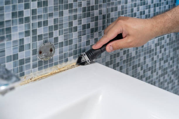Best Local Mold Removal Service  in Union City, OK